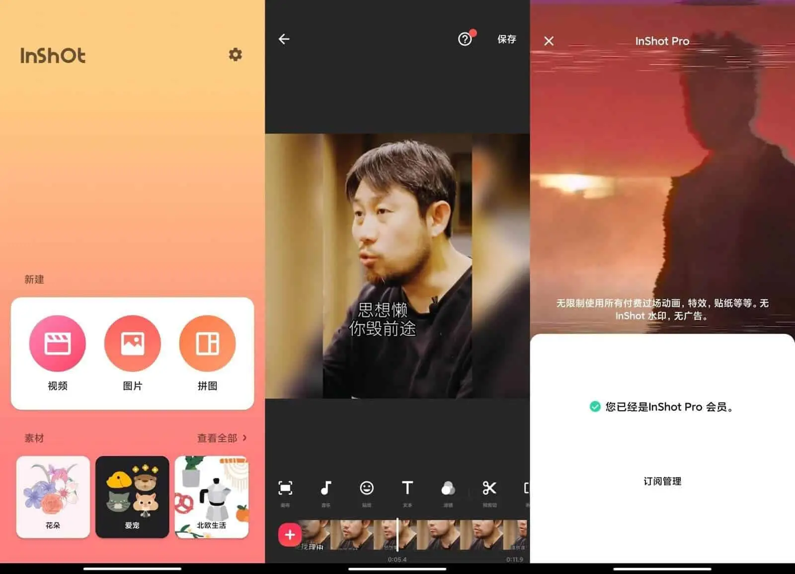 图片[1]-Inshot图片编辑器 破解版-冰雪应用